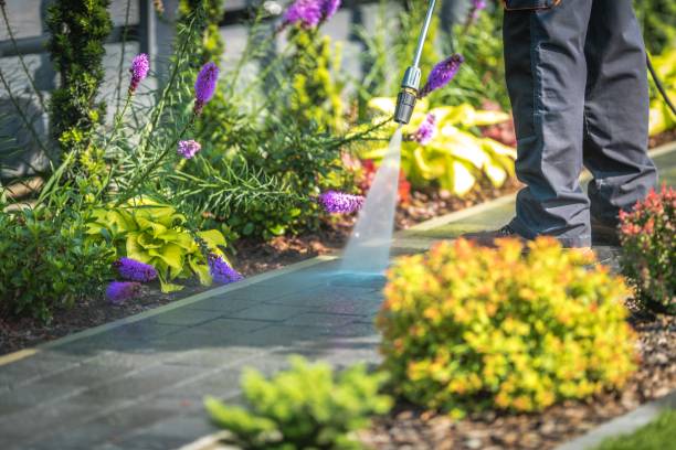 Best Pre-Holiday Cleaning  in Hildebran, NC